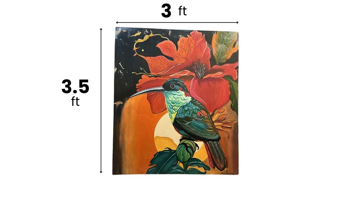 HummingBird - Image 2